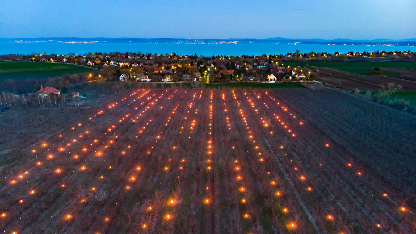 Hihetetlen, lámpákkal mentik meg a gyümölcsfákat a Balatonnál