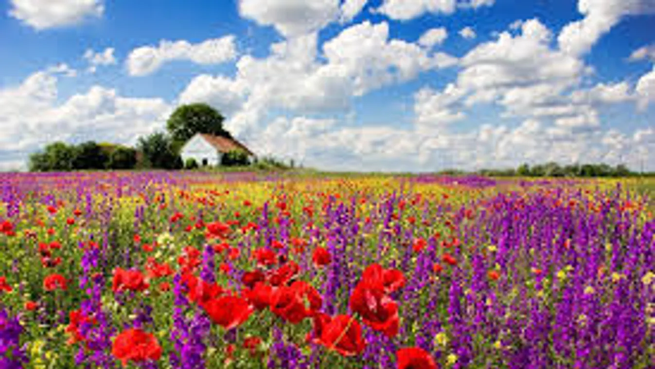 Közeleg a húsvét, nyakunkon a tavasz