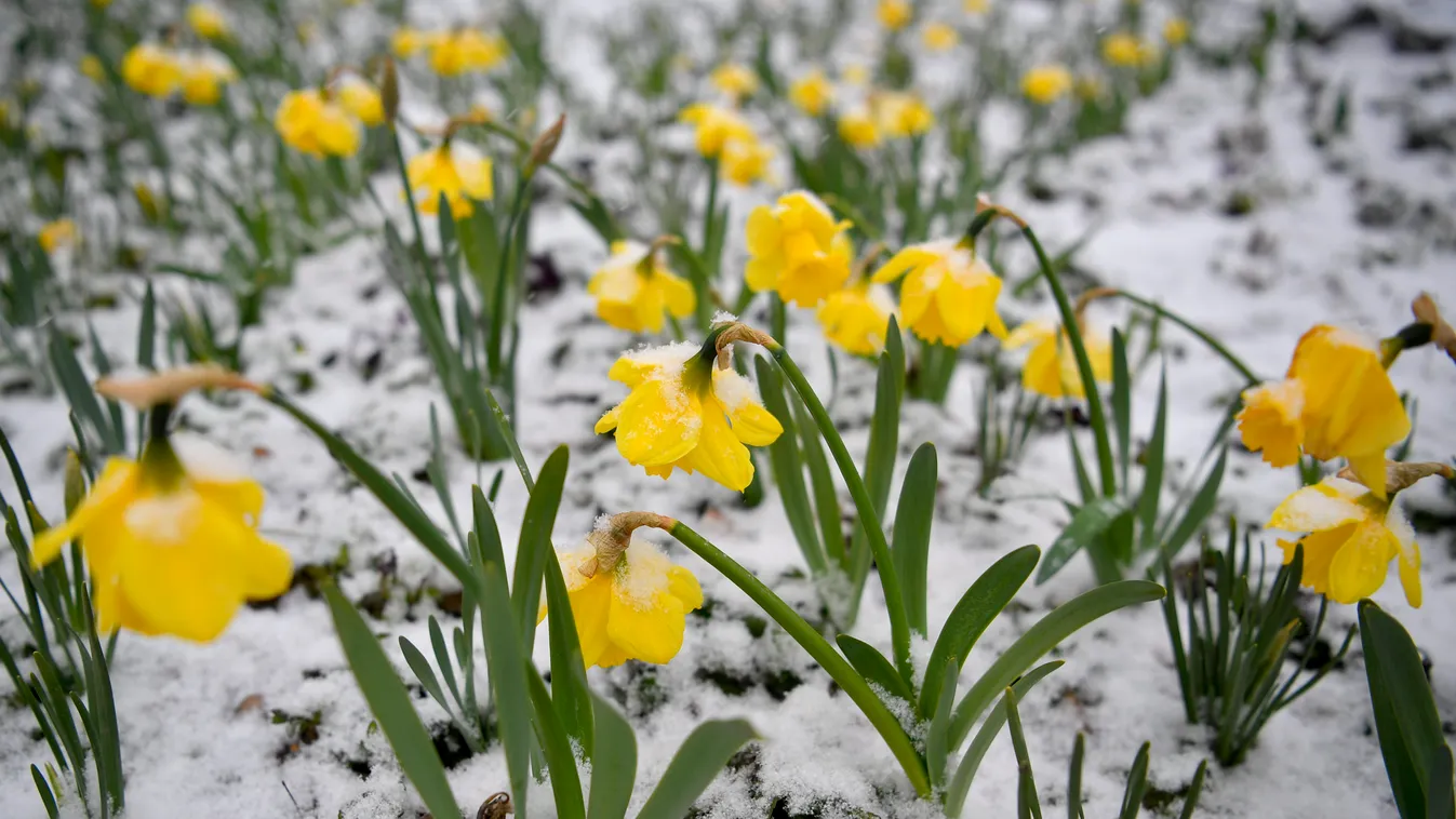 Hózápor csap le az országra, már csak óráink vannak hátra