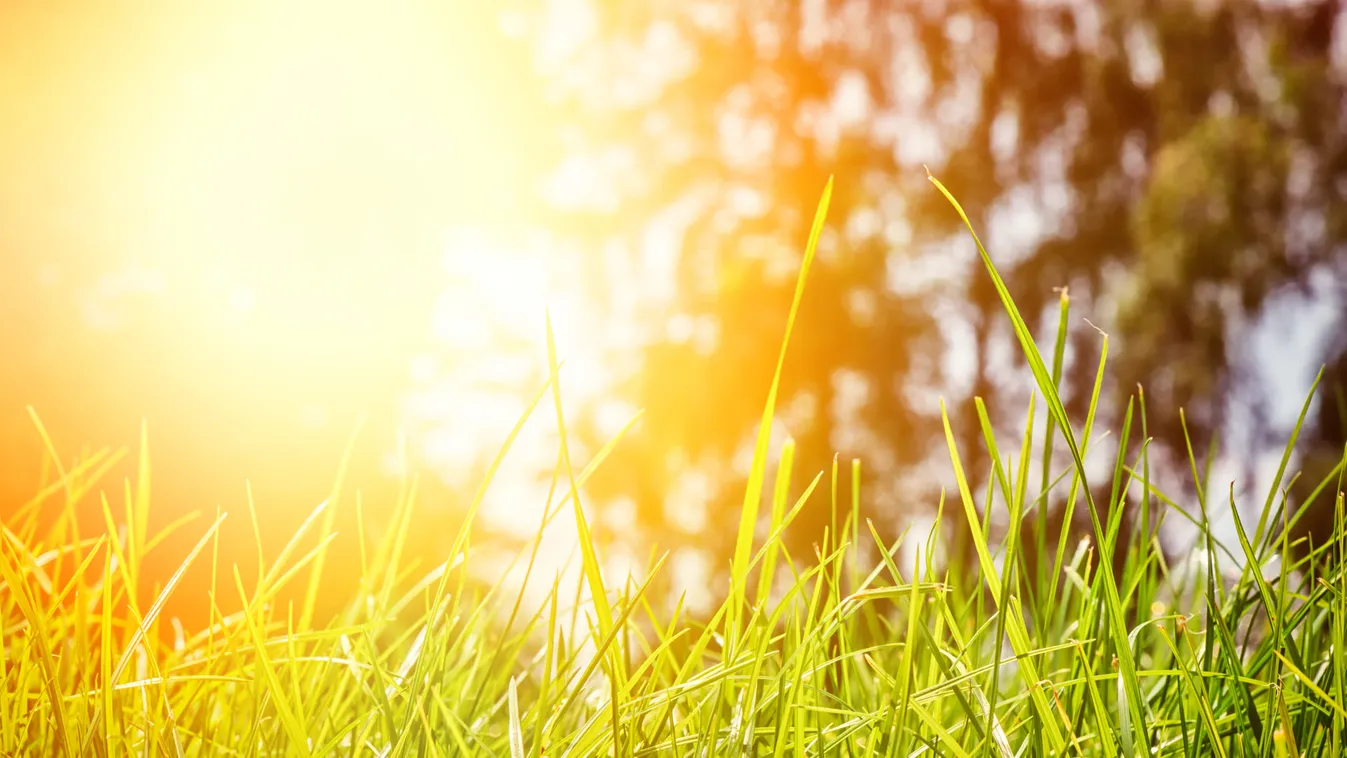 Egész héten tavaszias napsütésre számíthatunk, csapadék nélkül!