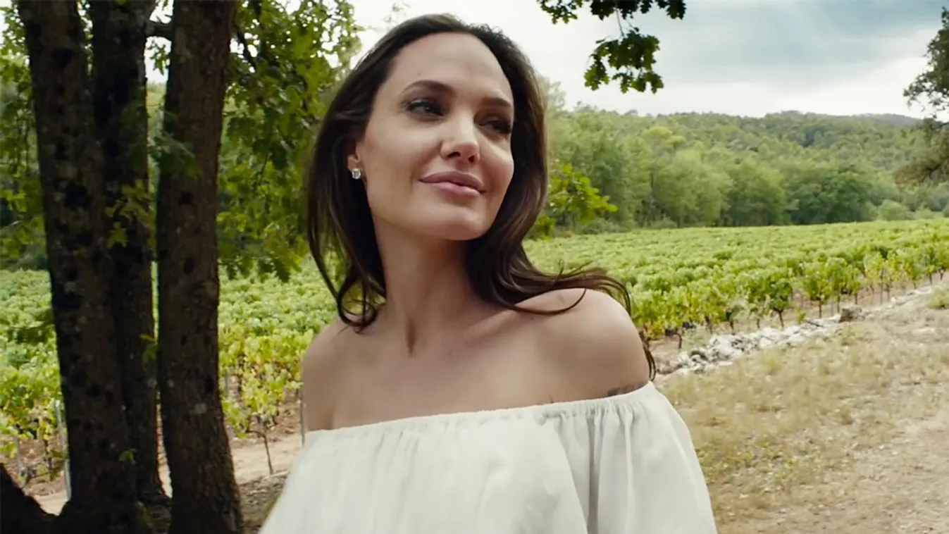 Kitálalt Angelina Jolie világhírű exe, ilyen valójában a színésznő