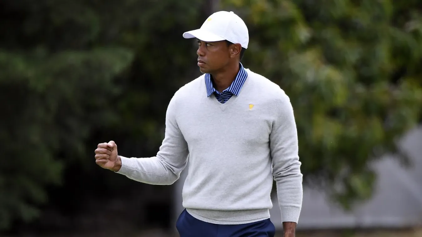 Arrogáns bunkó, Tiger Woods mindenkit kiborított