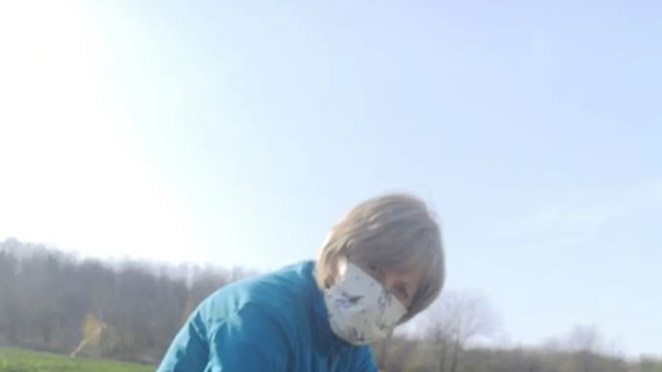 176 ezer tulipán veszett volna kárba, most kipostázzák