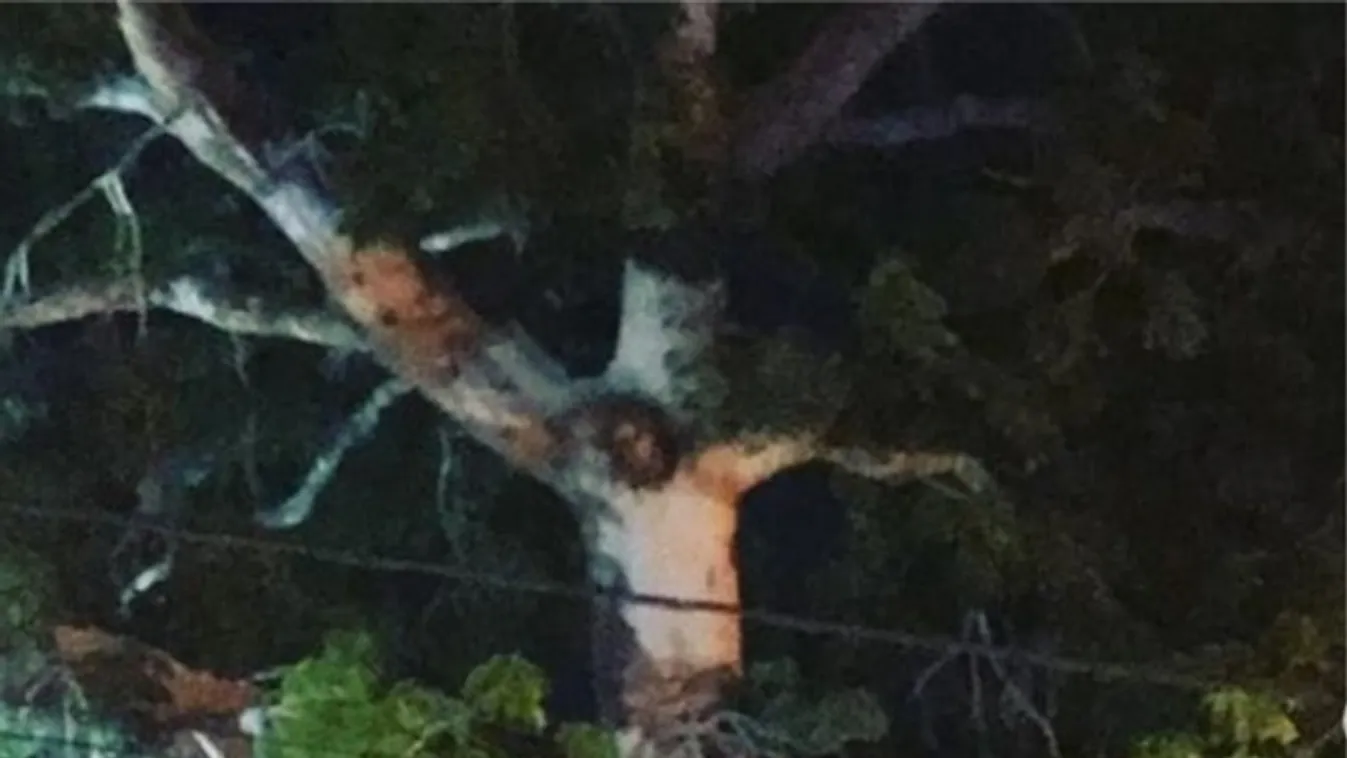 Meglátták Jézust egy fán, kicsődült a tömeg az utcára a karantén ellenére