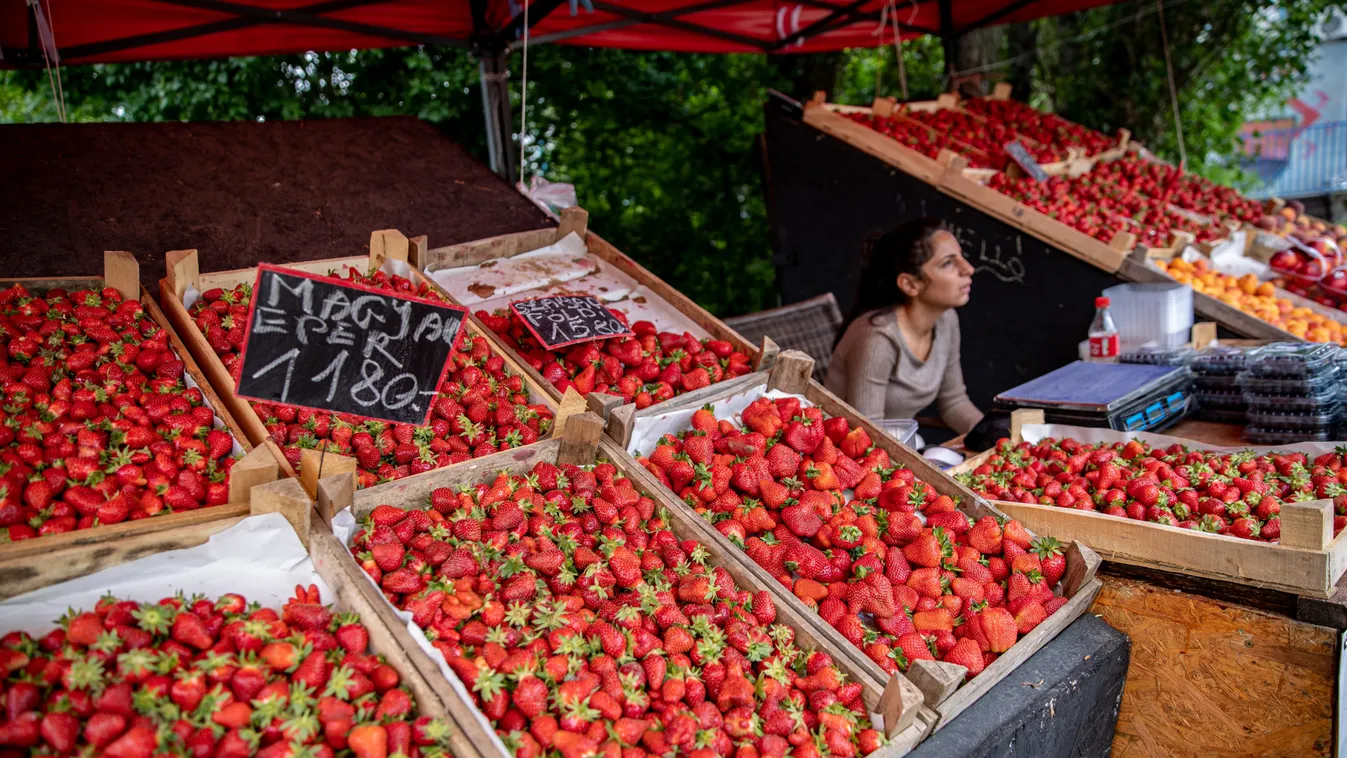 A magyar eper a járvány nyertese