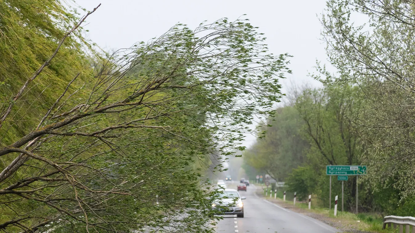 Pusztított a vihar az országban: leszaggatott tetők, kidöntött fák mindenhol