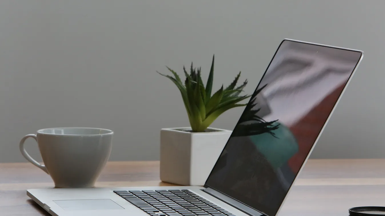 Pornót nézett a home office-ban, az összes kollégája látta