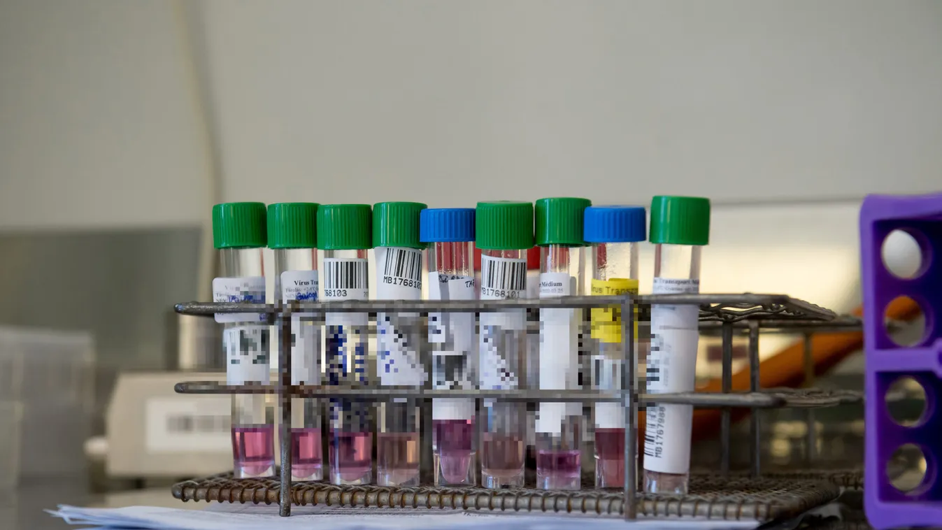 Meggyilkolták a WHO mintákat szállító teherautó sofőrjét