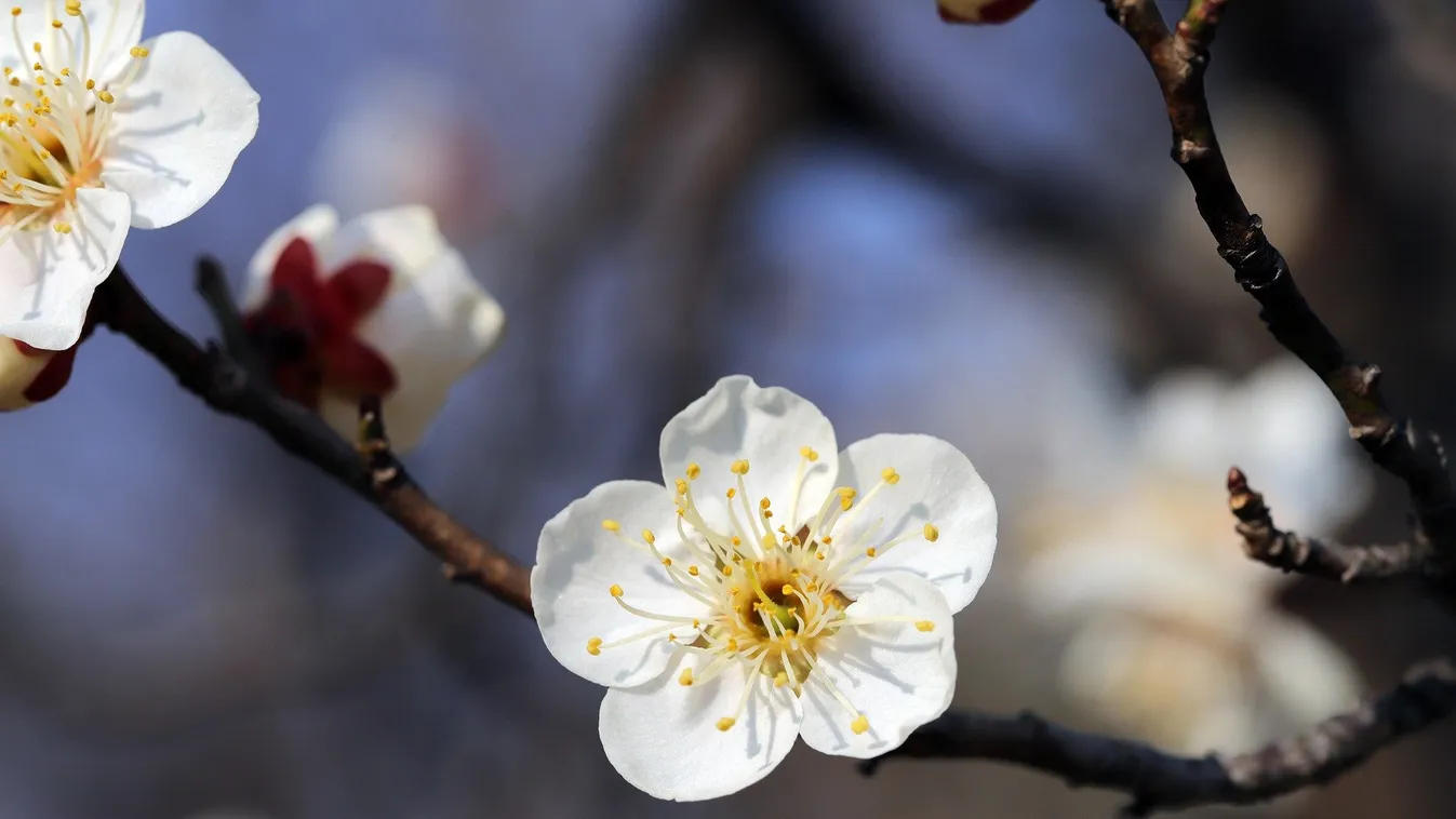 Felhő- és csapadékmentes lesz ma az időjárás