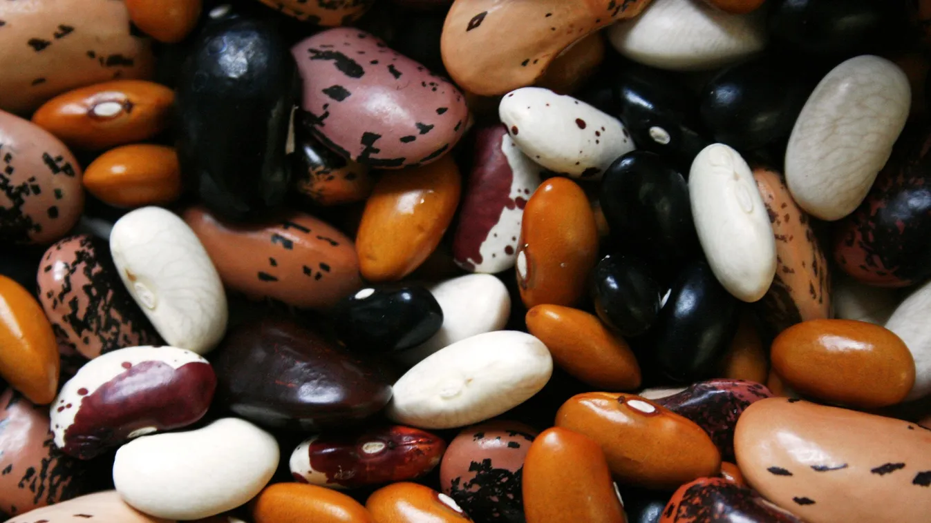 "Megvédem a babot!" - kiáltotta a nő és szakított a párjával a babkonzervek miatt