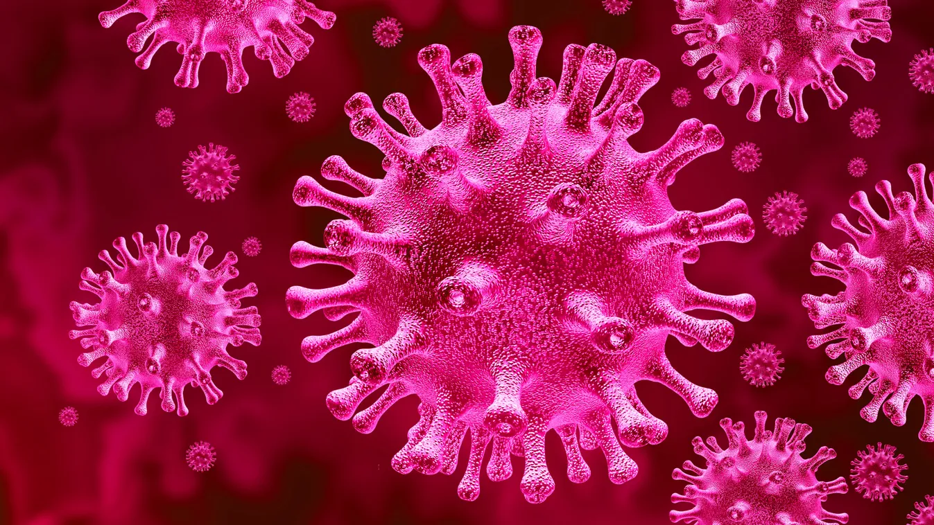 A veszélyhelyzet 36. napja