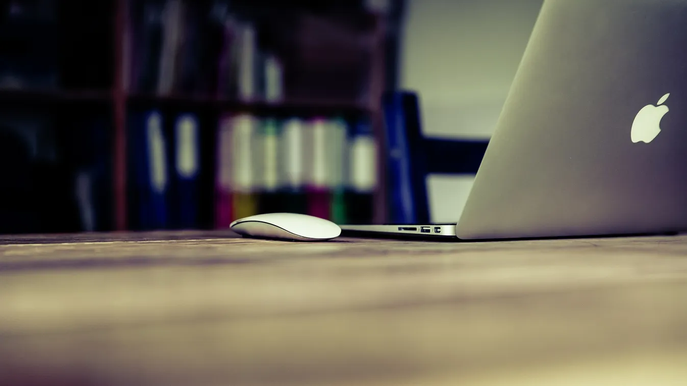 Koronavírus: Az online nyelvvizsgáknál kiemelt figyelmet kapnak a felvételizők