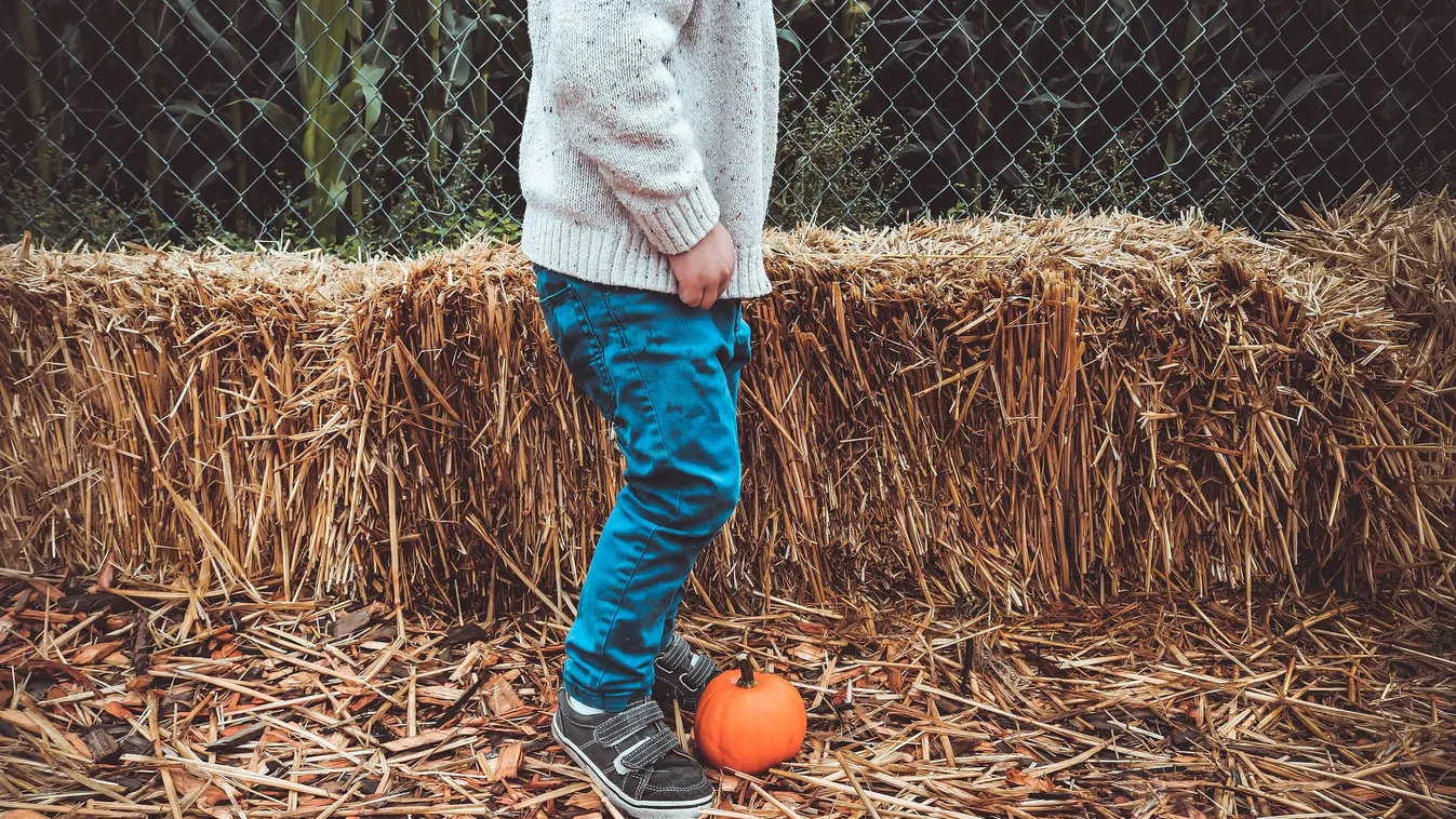 Ömlött a 6 éves kisfiú fejéből a vér – a budapesti rendőrök mentették meg