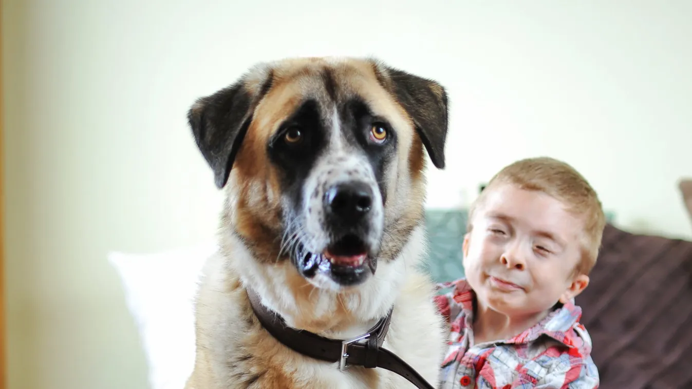 Szívszorító: elválasztották imádott kutyájától a ritka kórban szenvedő kisfiút