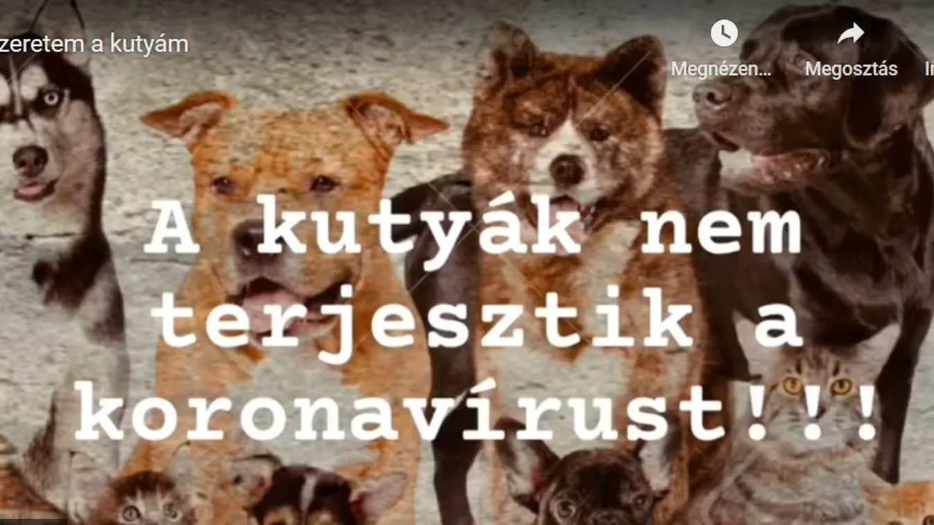 Koronavírus: Fontos videóban üzennek a hazai sztárok