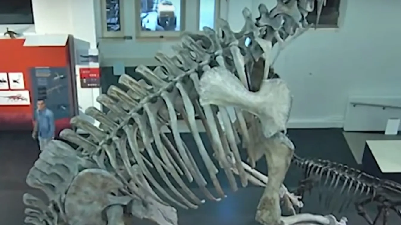 Dinoszaurusszal szelfizett a betörő, nem csoda, hogy lebukott – videó