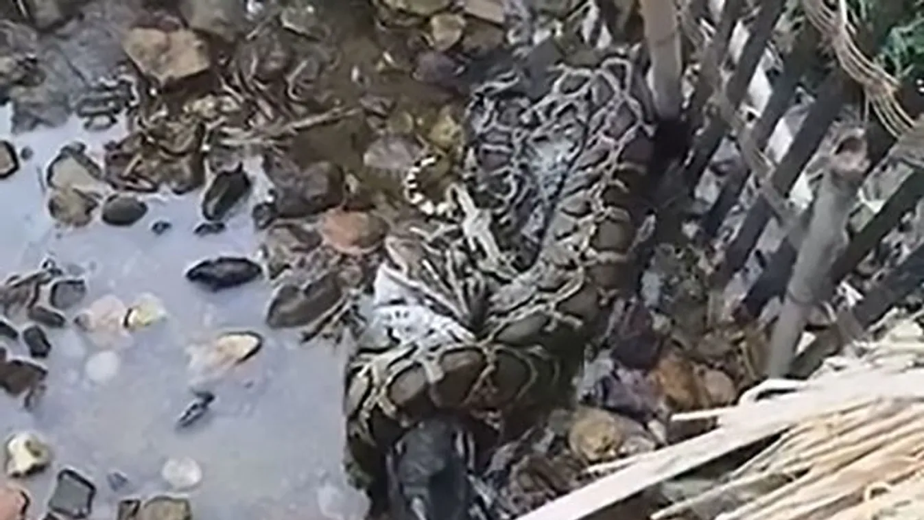 Felsikítottak a kínai falu lakói, amikor lenéztek a lábuk elé - Fotó