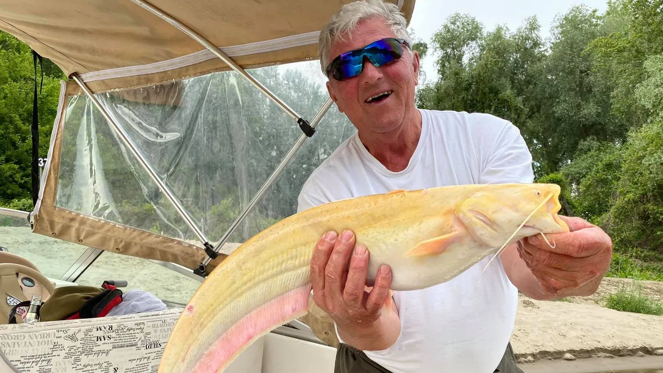 Elképesztő, milyen halat fogott ki egy horgász a Tiszából! - fotók