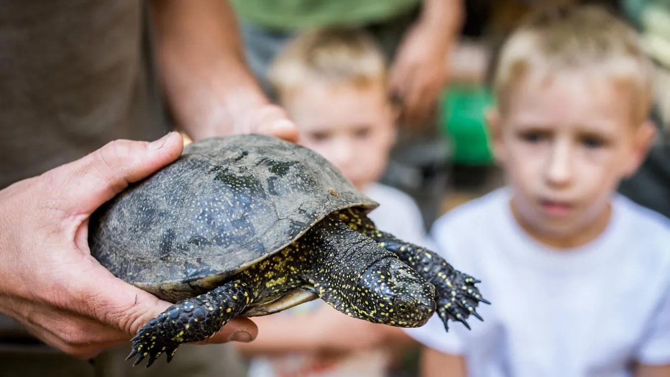 Hétfőn újra kinyit a vidéki vadaspark
