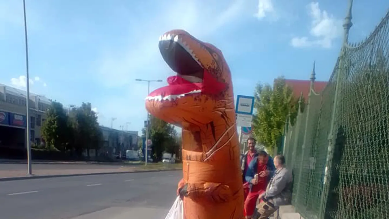 Így vásárolt Magyarországon a dinó, betartott minden biztonsági előírást-videók