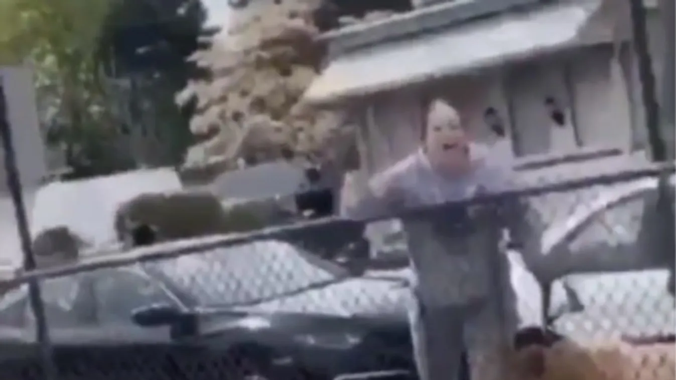 "Remélem lassú, fájdalmas halálotok lesz" - kiabálta a tanár a parkban bandázó diákoknak