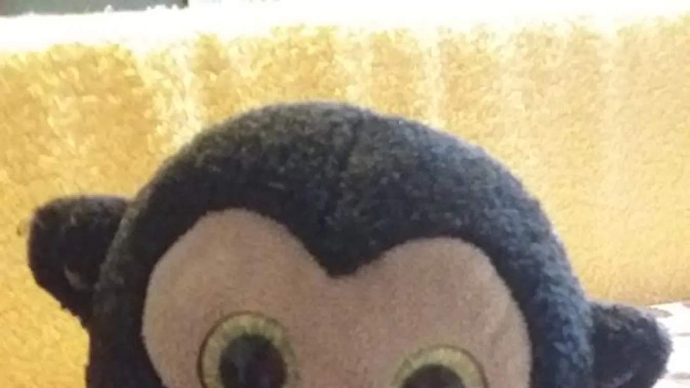 Mindenkinek mást jelent a Nyunyóka