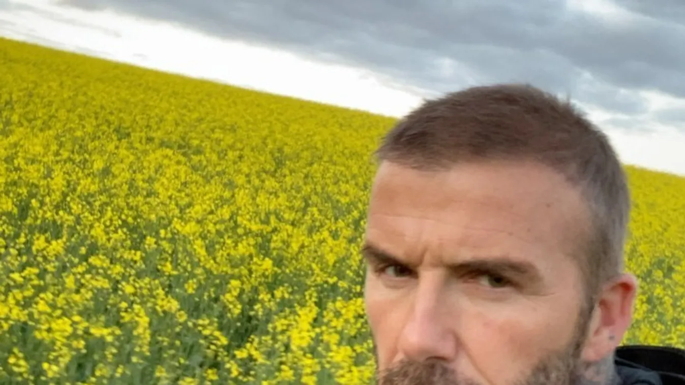 Kiderült: David Beckham így próbálja elrejteni a kopasz foltjait