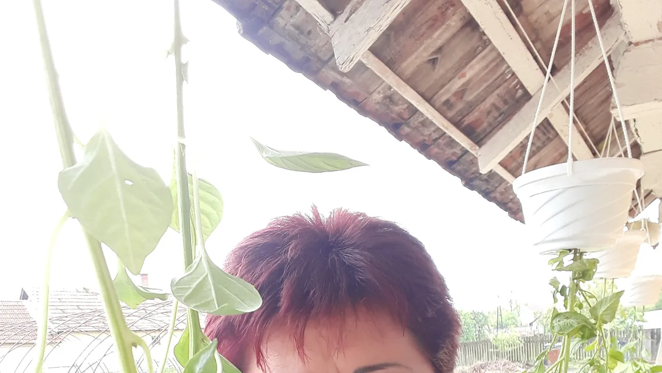 Nagyon bizarr módon termeszt paradicsomot a jászsági háziasszony