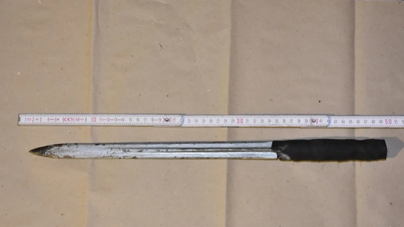 Testvérgyilkosság Oroszlányon - ezért emelt kezet fivérére