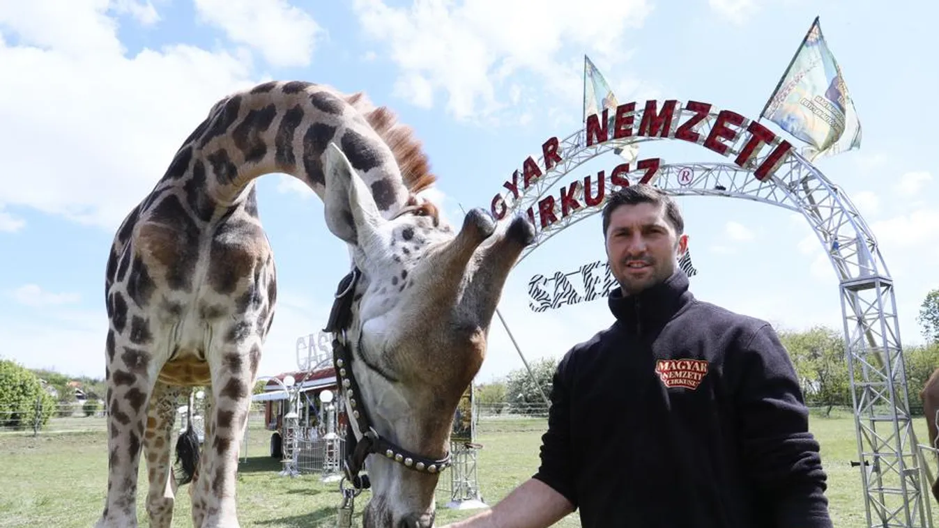 Nyit a Magyar Nemzeti Cirkusz 'Safari Parkja'