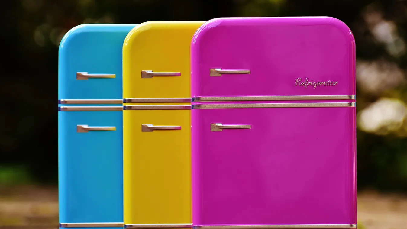 Sokkot kaptak a vevők: 15 évig rejtegette nagymamája holttestét a fagyasztóban