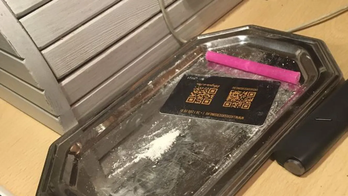 Megdöbbentő videó a budapesti kokainpartiról, hatalmas erőkkel csapott le a TEK