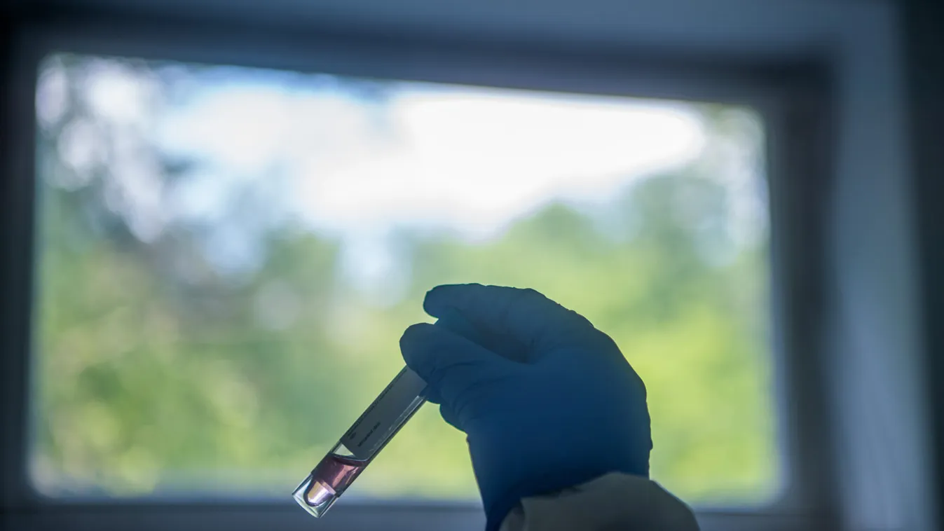 Másfél évig ki sem tette a lábát a házból, mégis koronás lett