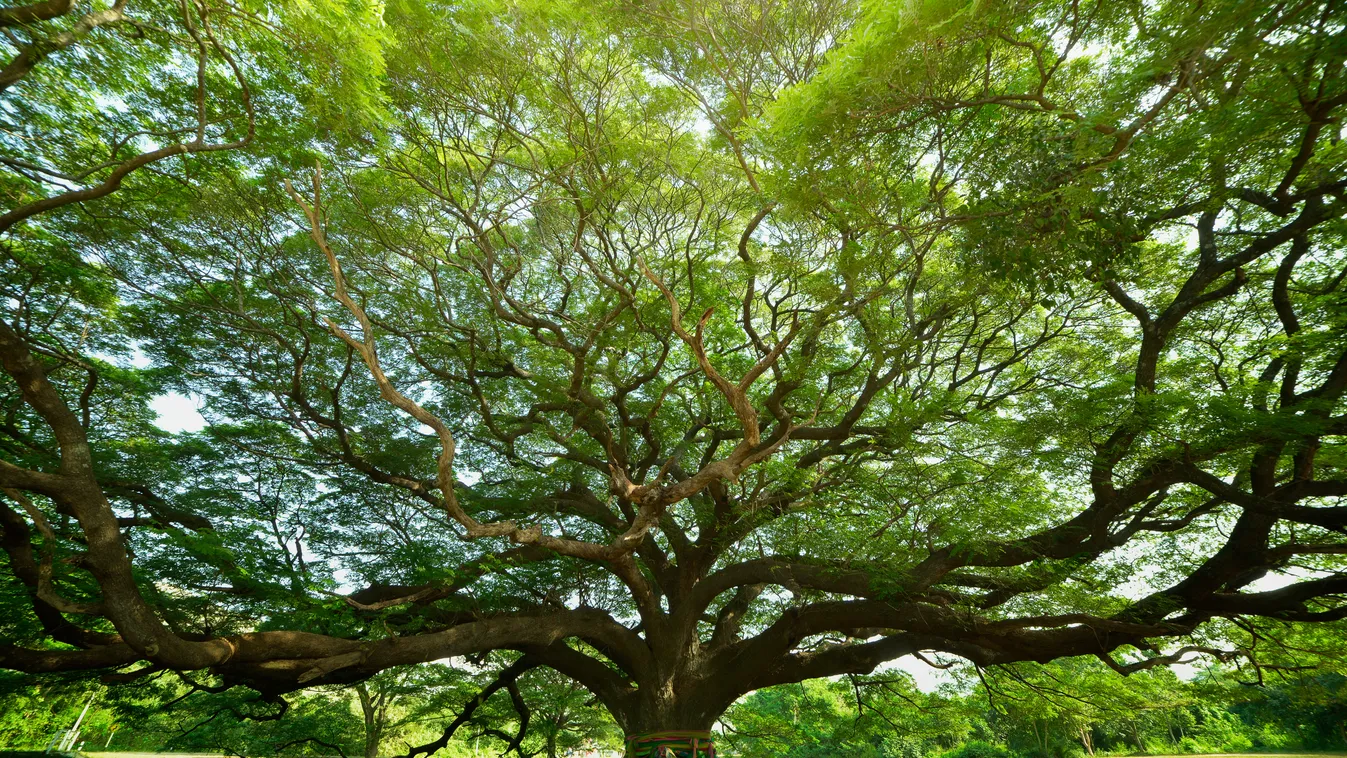 Miért éppen ezeken a helyeken élnek ennyire hosszú életet az emberek?