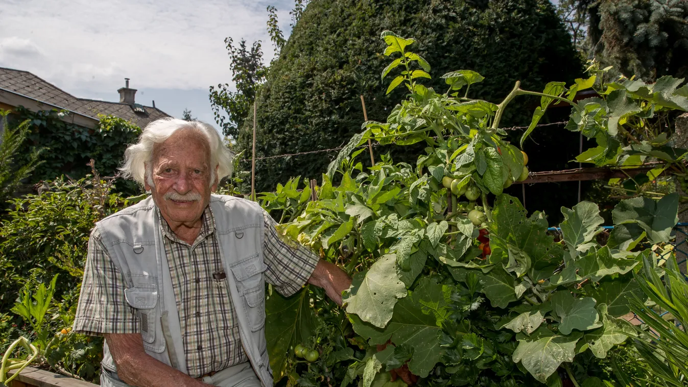Mi történt Bálint gazda Facebook-oldalával?