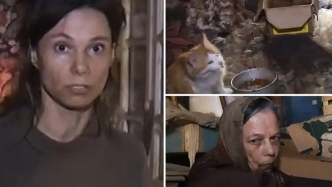 Borzalmak háza: 26 évig élt bezárva a fiatal nő, macskakaját etettek vele