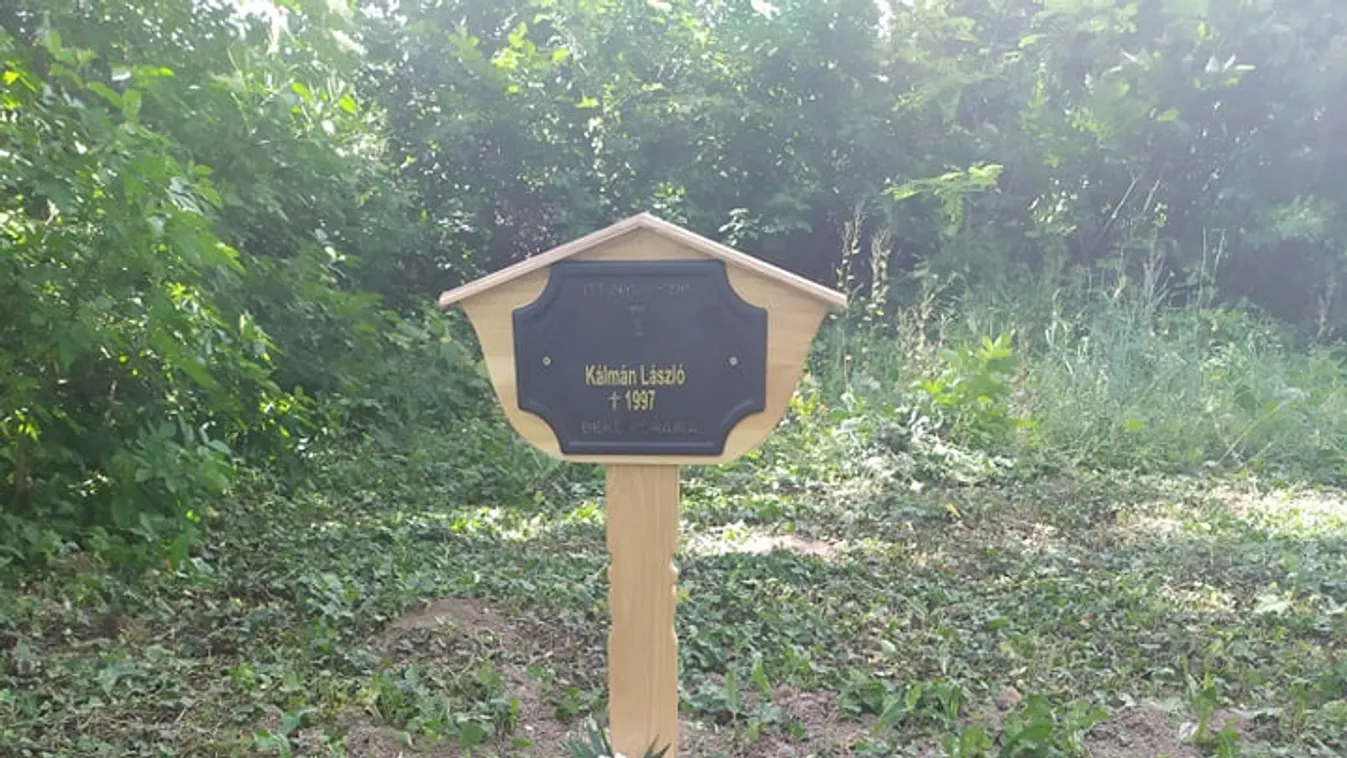 Itt a töki önkormányzat széfjében talált hamvakra a megoldás! - videó