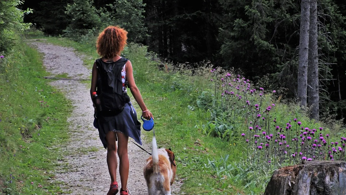 Az orvosok szerint ez a cipő totál hazavágja a lábad nyáron