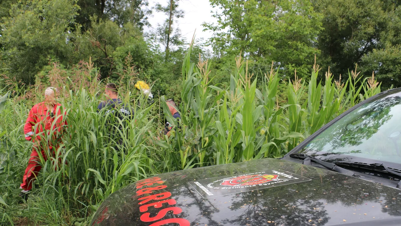 Lezuhant egy siklóernyős: egy 38 éves fóti nő az áldozat