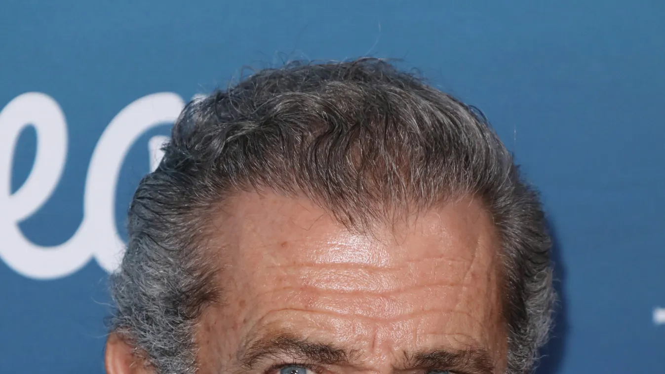 Kiderült: elkapta a koronavírust Mel Gibson - így érzi magát most a színész