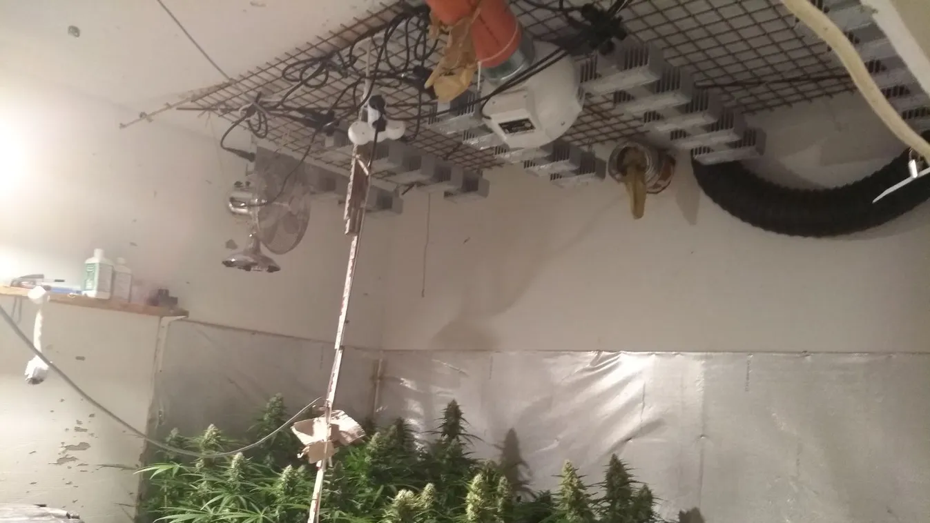 Lecsapott a rendőrség Sopronban, brutális, mit találtak a pincében - videó