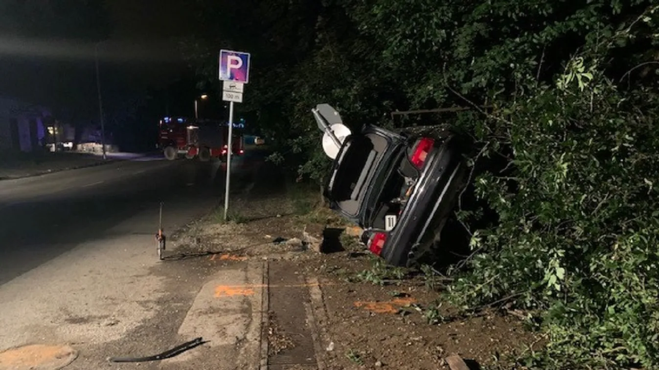 Fát döntött ki, telefonfülkét sodort el, padon át robogott: Leányfalun dózerolt le egy fél utcát a sofőr - helyszíni fotók