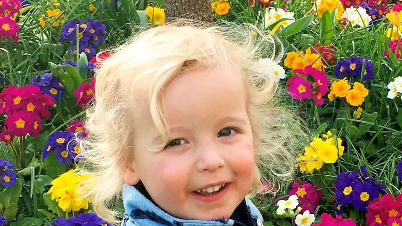 Borzalmas baleset történt: egy angyalarcú 3 éves kisfiút gázoltak halálra