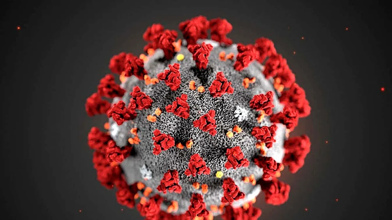 Több mint kétszázezerrel nőtt a fertőzöttek száma a világban