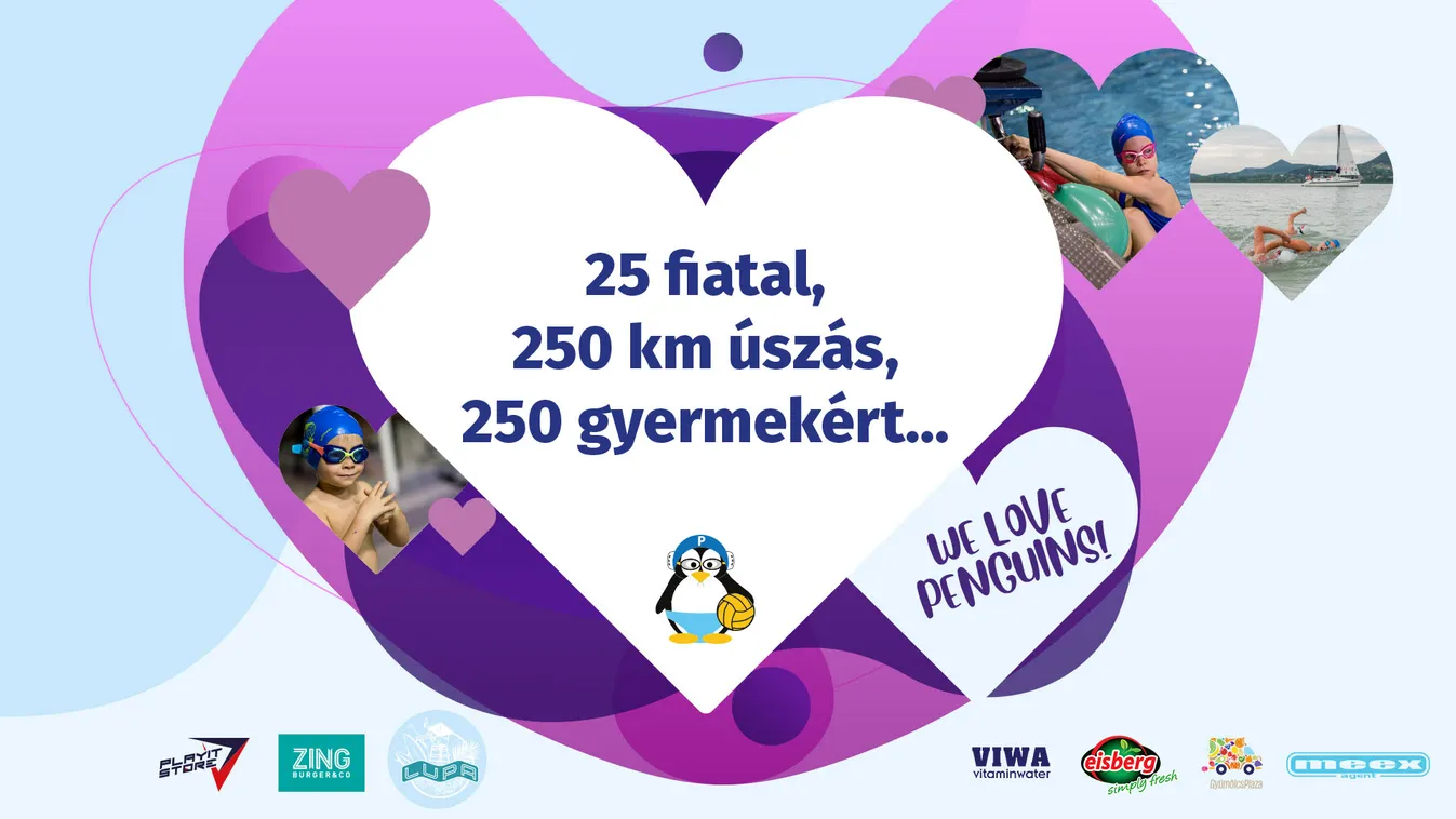 Újra nemes célért úsznak a Kis-Pingvinek!
