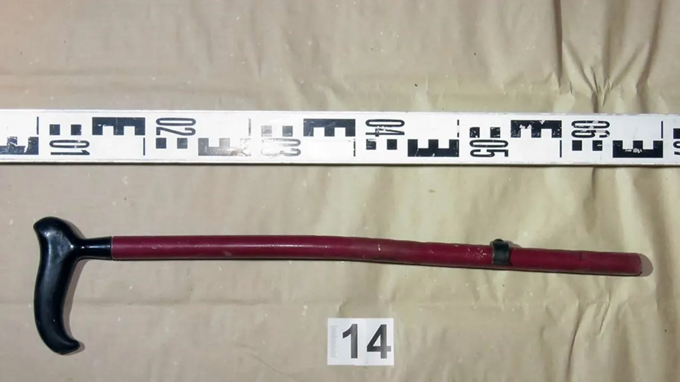 Járóbottal verte halálra a petőfiszállási férfit cimborája  -fotók