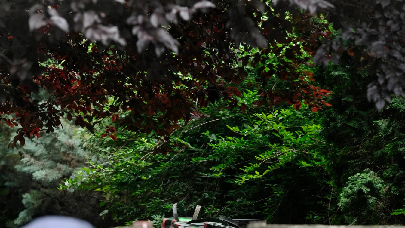 "Semmit nem tudnak az igazságról" - kitálalt a pátyi boncmester fia