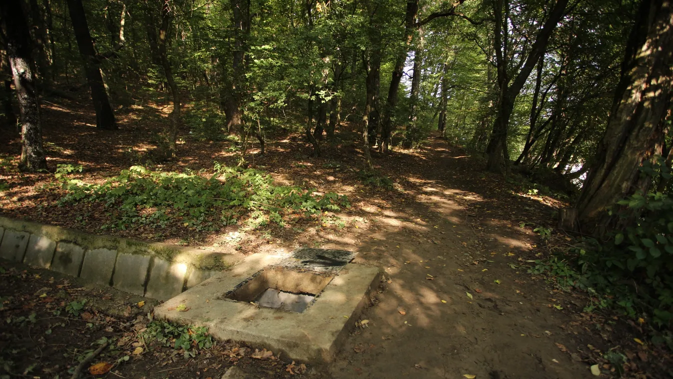 Sokkoló, eddig nem hallott részlet derült ki a 17 éves Csenge haláláról: végig hazudott B. Roland?