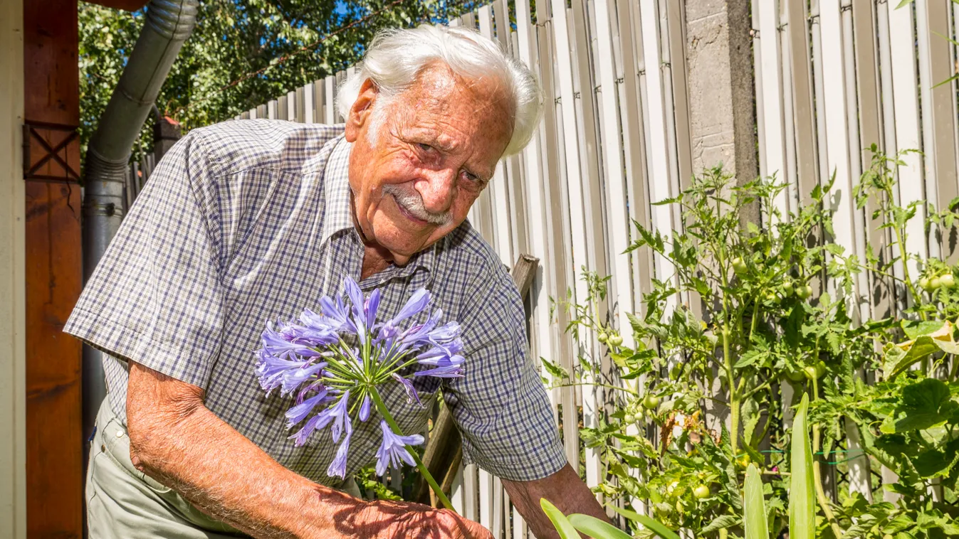 Megindító, így emlékeznek az ovisok az elhunyt Bálint gazdára - Fotók