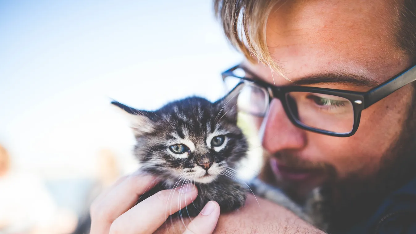 Macskával ne! Őrület, mi derült ki a férfiakról